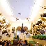 Ăn và ngắm 300 đầu động vật trong nhà hàng tại Mỹ