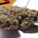 Marijuana Flower, Ingredients, Vapes, Pods & Weed Beginning