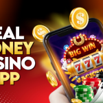 Mr Wager Local casino Opinion 2024 Personal Incentive Also provides no deposit bonus codes casino avalon78 and Promotions