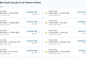 Vietnam Airlines đang khai thác những chặng bay nổi bật nào?